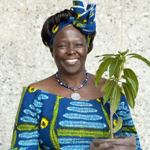 Wangari Maathai