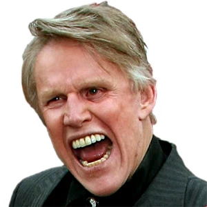 Gary Busey