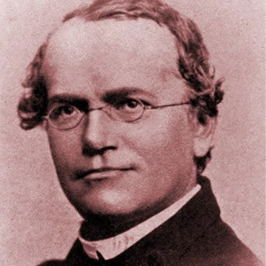 Gregor Mendel age and date of birth
