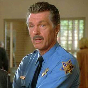Tom Skerritt age and date of birth