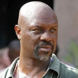 Robert Wisdom age and date of birth