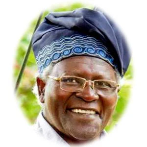 David Maillu age and date of birth
