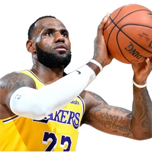 LeBron James age and date of birth