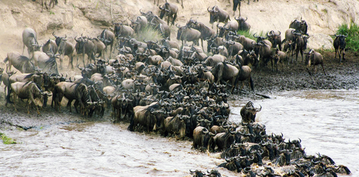 The Masai Mara is one of the best places to vist in Africa